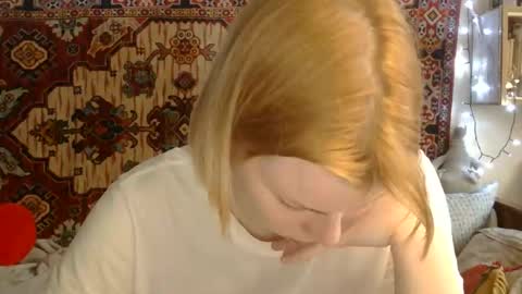 Elis online show from May 2026 11:18:01 AM