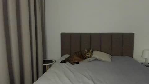 Snapshot of miss_emilyy chatting on February 2025 08:13:02 PM Emily online show from February 2025 08:13:02 PM