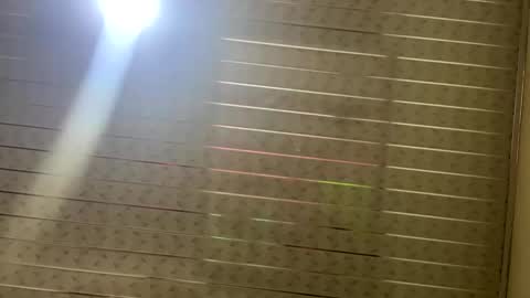 ly independent model online show from February 2025 11:44:02 AM