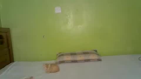 Stacey online show from June 2026 10:07:01 AM