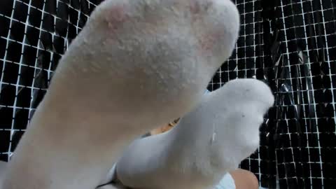 missalmafenix online show from May 2026 04:04:01 PM