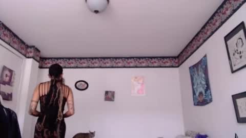 Snapshot of missanarky chatting on January 2025 08:31:02 PM Anarkitten online show from January 2025 08:31:02 PM