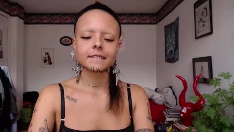 Snapshot of missanarky chatting on February 2025 07:10:01 PM Anarkitten online show from February 2025 07:10:01 PM