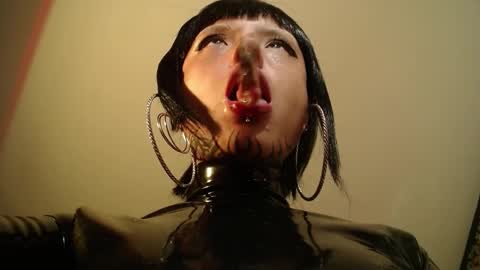 Snapshot of missanarky chatting on October 2025 09:14:02 PM Anarkitten online show from October 2025 09:14:02 PM