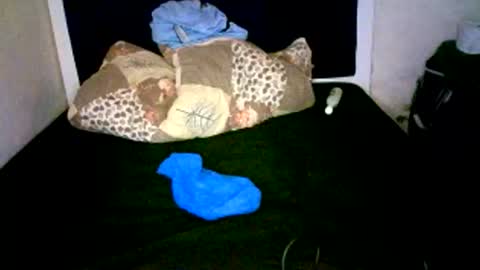 VAL online show from January 2026 08:39:02 AM