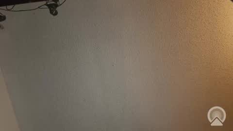 Snapshot of missdivinediva chatting on November 2025 03:16:01 AM Devi online show from November 2025 03:16:01 AM