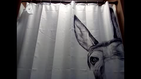 Snapshot of misseeva chatting on December 2024 06:44:01 PM MissEeva online show from December 2024 06:44:01 PM