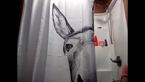 Snapshot of misseeva chatting on December 2024 02:01:01 AM MissEeva online show from December 2024 02:01:01 AM