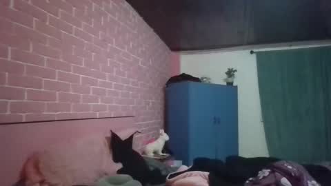 Snapshot of misselii chatting on September 2025 12:10:01 AM melodie online show from September 2025 12:10:01 AM