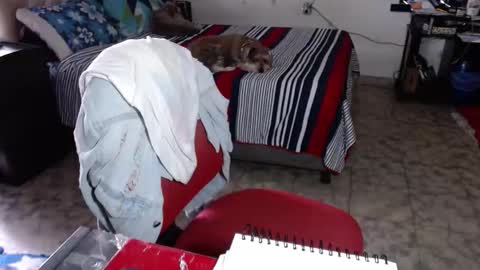 Snapshot of missgomezz_ chatting on February 2026 05:33:01 PM Maria Gomezz online show from February 2026 05:33:01 PM