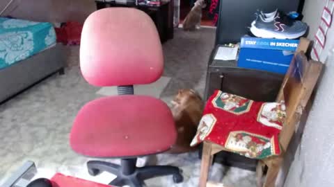 Maria Gomezz online show from May 2026 06:04:02 PM
