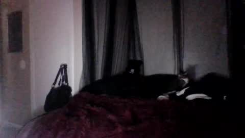 missgospel online show from February 2025 02:21:01 AM