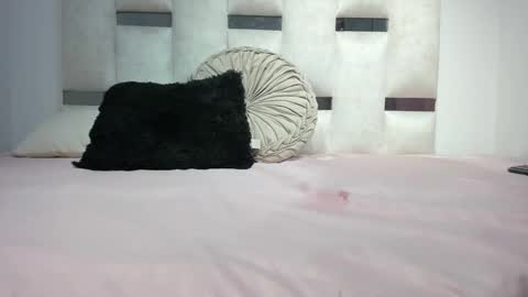 Snapshot of missnatasha05 chatting on September 2025 12:03:02 AM missnatasha05 online show from September 2025 12:03:02 AM