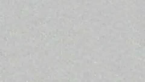 Ses online show from May 2026 08:41:01 AM