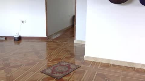 misternocturne online show from April 2026 05:59:01 PM