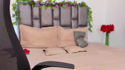 Snapshot of mitchbukanan chatting on May 2026 03:22:01 AM mitchbukanan online show from May 2026 03:22:01 AM