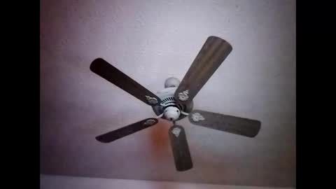 BobbyMitchGa online show from December 2024 07:24:02 AM