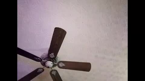 BobbyMitchGa online show from January 2025 06:41:01 AM