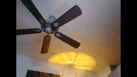 BobbyMitchGa online show from January 2025 01:14:01 PM