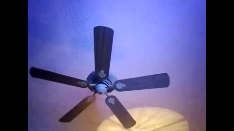 BobbyMitchGa online show from January 2025 05:59:02 AM