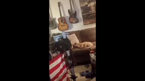 BobbyMitchGa online show from April 2026 06:06:01 AM