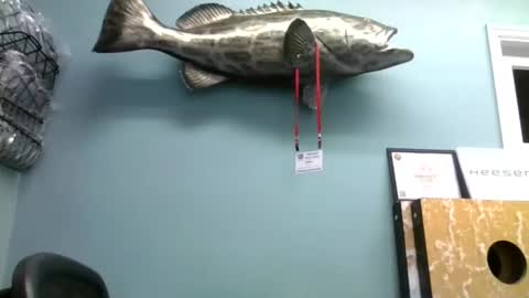 mjd666 online show from September 2025 07:46:02 PM