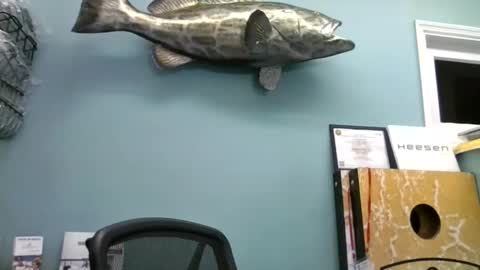 mjd666 online show from November 2025 07:59:02 PM