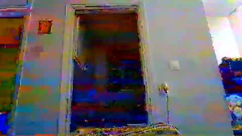 mmpempis81 online show from November 2025 04:18:01 PM