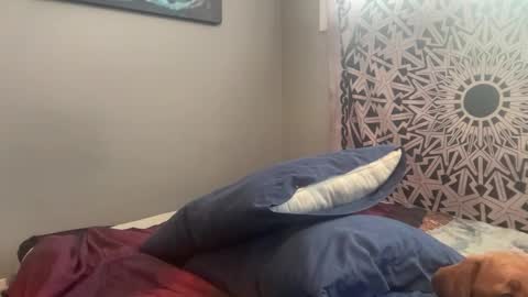 MNTuiLa online show from February 2025 03:39:02 PM