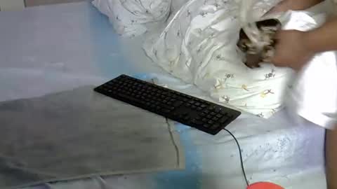 mollyn online show from March 2026 10:51:01 AM