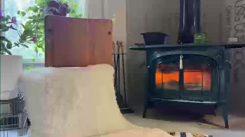 Mia  online show from September 2025 12:59:02 PM