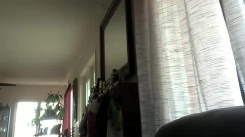 Monkee Dance online show from December 2024 10:01:02 PM