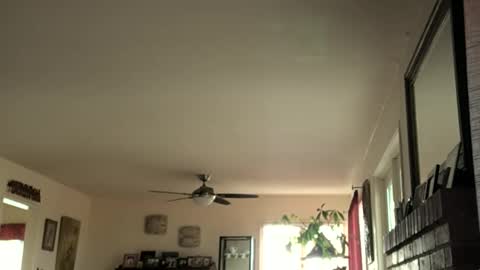 Monkee Dance online show from February 2025 05:37:01 PM