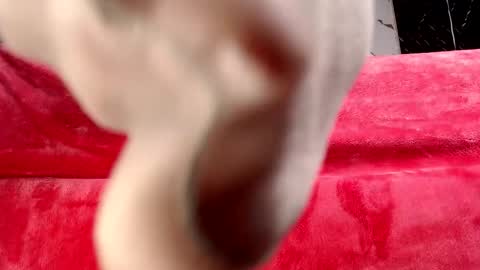 Snapshot of moolly_evanz chatting on February 2026 02:34:01 PM moolly_evanz online show from February 2026 02:34:01 PM