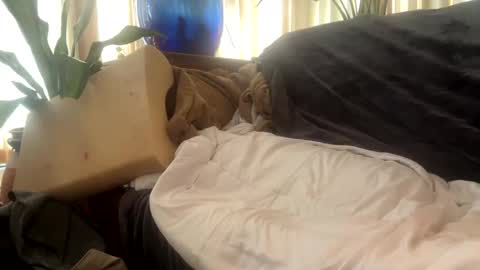 Mitchell online show from September 2025 04:01:01 PM