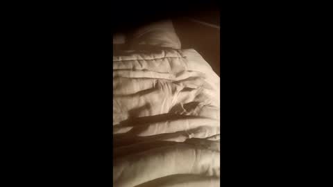 moos1 online show from October 2025 07:03:02 PM