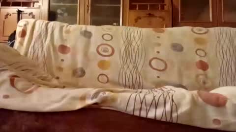 Snapshot of mospeleu chatting on December 2024 08:04:01 AM Nomadu online show from December 2024 08:04:01 AM