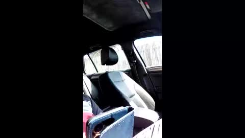 Snapshot of mospeleu chatting on March 2026 10:42:02 AM Nomadu online show from March 2026 10:42:02 AM