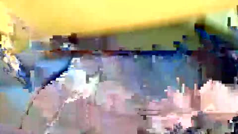 mountfort1967 online show from May 2026 10:48:01 PM