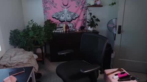 Mousie online show from February 2026 07:47:02 PM