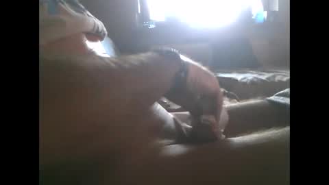 mowgli1977 online show from December 2024 08:37:02 AM