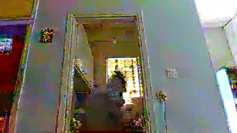 mppempis81 online show from December 2025 09:03:01 AM