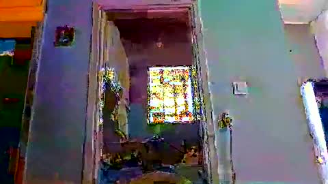 mppempis81 online show from February 2026 07:29:02 AM