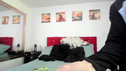 Andy online show from December 2024 04:50:01 PM