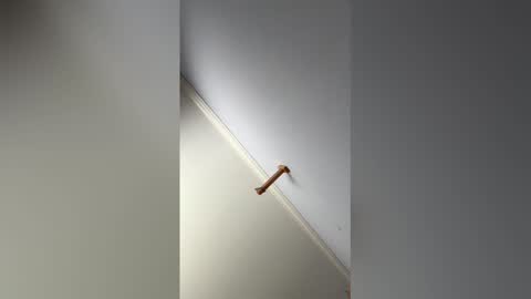 Hunter online show from February 2026 09:11:02 PM