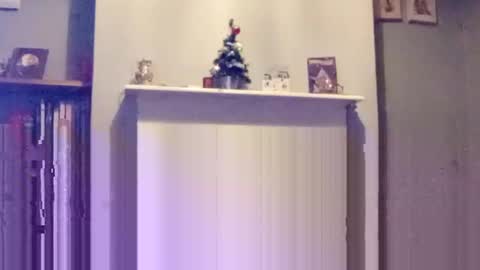 mr_i_ online show from December 2024 08:10:02 PM