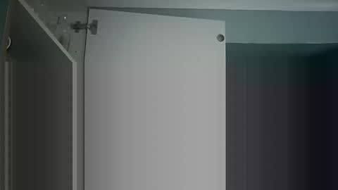 mr_i_ online show from November 2025 08:47:01 AM