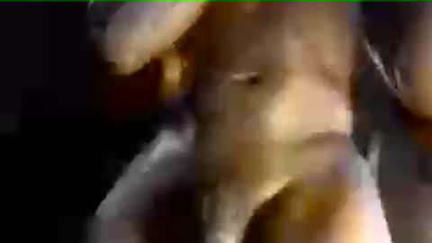 MrBigDiQ1 online show from June 2026 03:40:01 PM