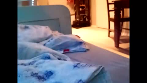 Snapshot of mrbiig82 chatting on February 2025 12:38:02 AM mrbiig82 online show from February 2025 12:38:02 AM