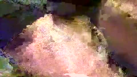 Mr boom online show from May 2026 07:54:01 PM